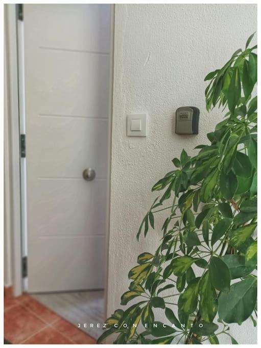 Atico En Pleno Centro De Jerez Sin Ascensor Lägenhet Jerez de la Frontera Exteriör bild